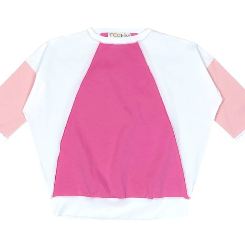 Teela Pink Colorblock Top (Size 22)